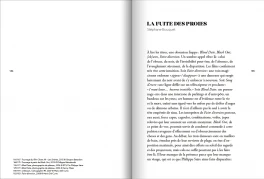 a•type éditions, à travers | publication, pp. 184-185 (essai de Stéphane Bouquet)
